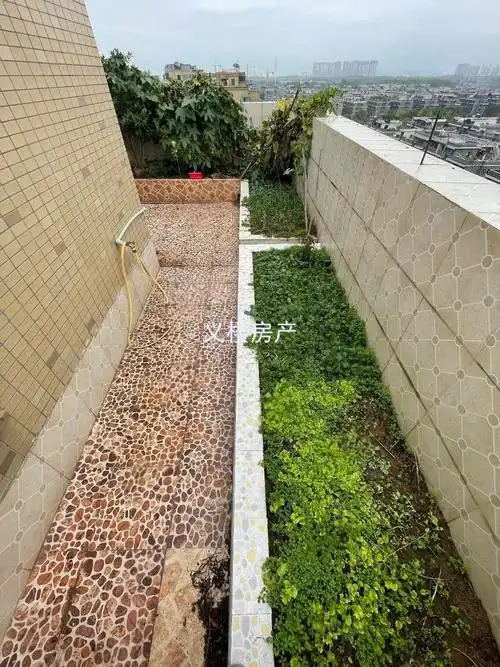 金城高尔夫(一区)6室2厅2卫240㎡南北465万