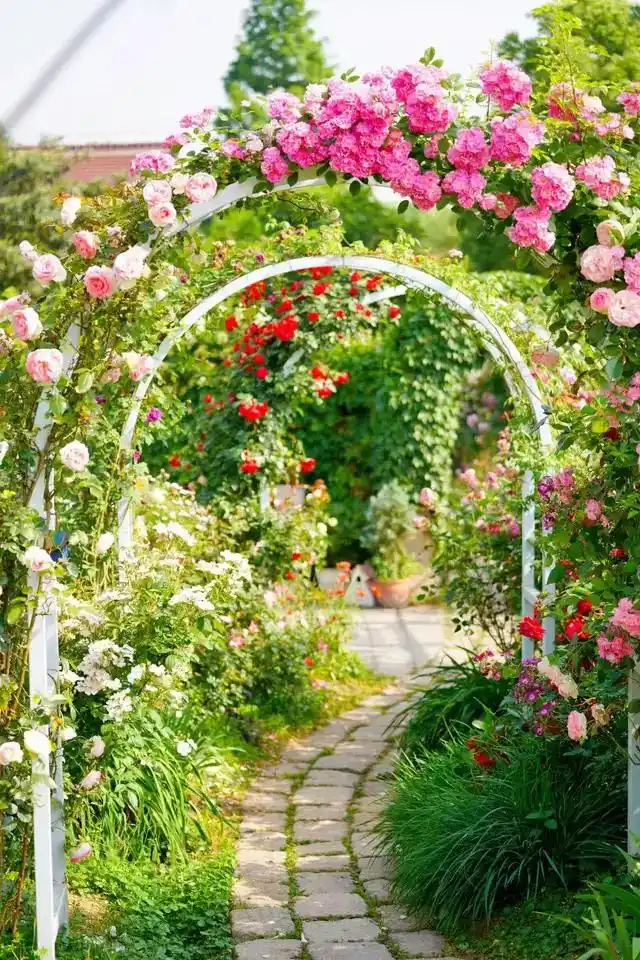 无锡最美的私家花园