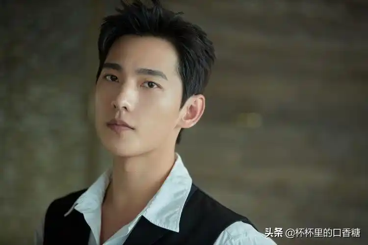 中国最帅的男明星中国帅哥排名100名名单