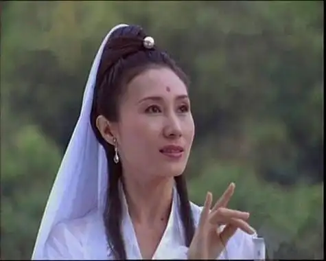 东游记主演现状(东游记之后无八仙)(15)