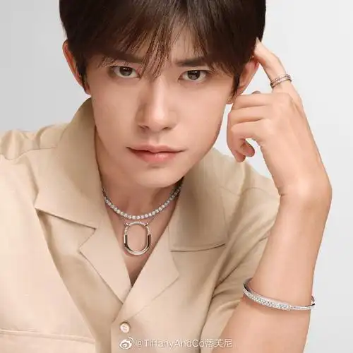 蒂芙尼全球品牌代言人@tfboys-易烊千玺即将呈现#tiffany lock#系列