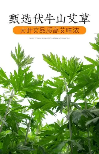 【南京同仁堂】草本中药艾草足浴包