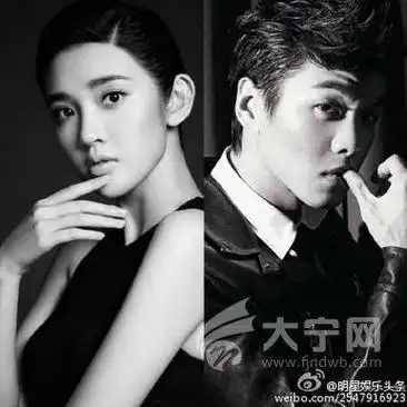 唐艺昕个人资料简介及 唐艺昕简介个人资料 | 大竹生活网