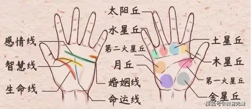 原创手相透露了富贵贫贱夭寿吉凶婚姻感情