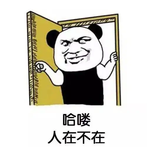 搞笑表情包:熊猫头套路表情包