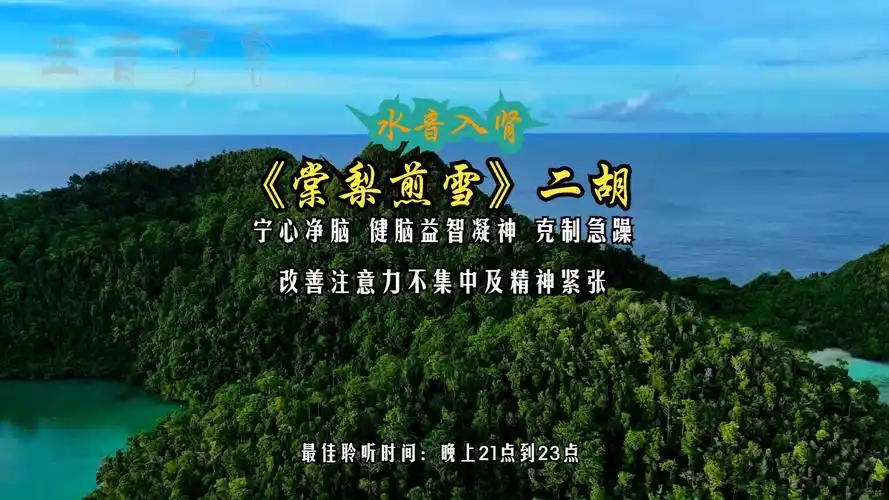 水音入肾 宁心净脑 健脑益智凝神 克制急躁 改善注意力不集中及精神