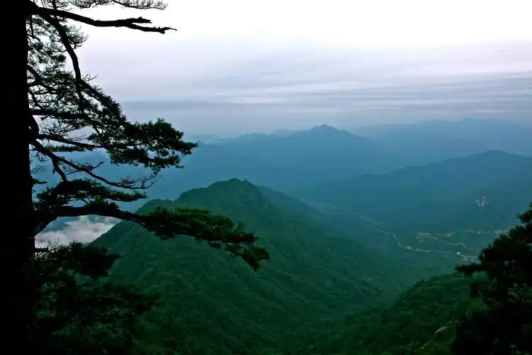南召宝天曼景区
