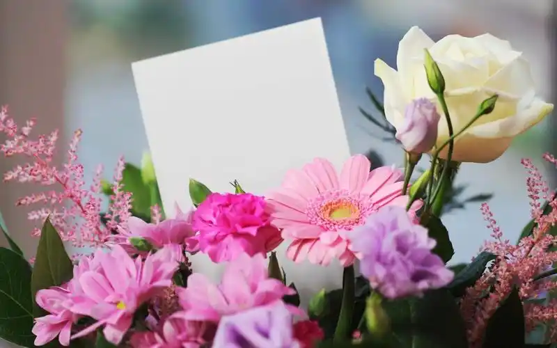 唯美小清新花束高清图片壁纸 第2页-高清背景图-zol桌面壁纸