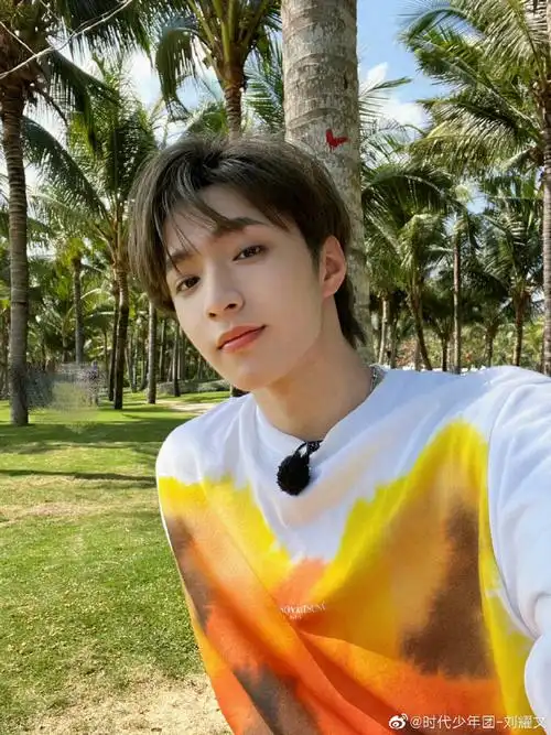 刘耀文戳脸比耶自拍##刘耀文新发色自拍