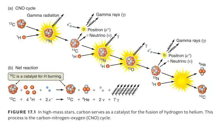 大质量主序星里的碳氮氧循环聚变反应