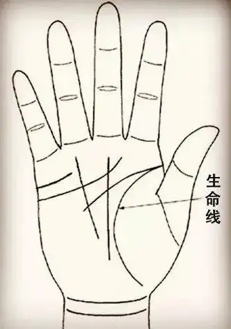 早死的手相特征这3种生命线断开预示着会早