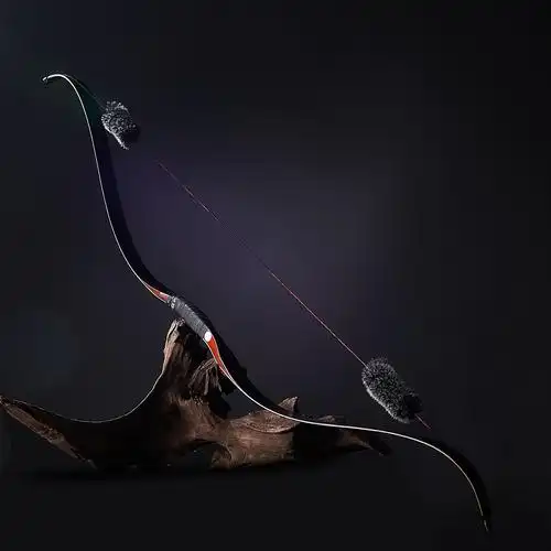 有限公司黑猎人射箭器材|5年 |主营产品:竞技反曲;美式猎弓;传统弓