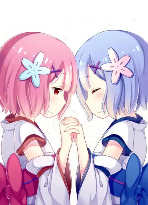 【侵删】双子の绊 | hy p站_id=57659794