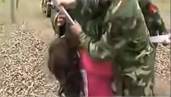 看见他人被枪毙,出现谜之表情……看到她辣么害怕,小编已经忐忑地抠着