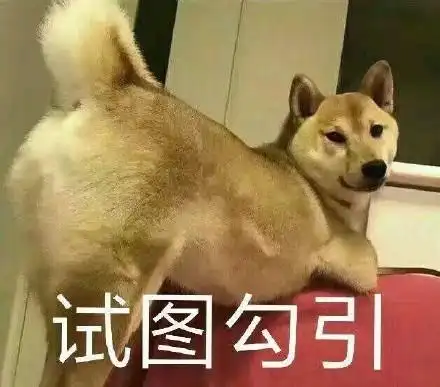 小狗狗汪星人试图勾引斗图搞笑可爱gif动图_动态图_表情包下载_soogif