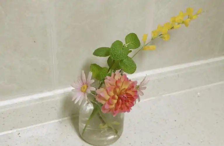 朋友圈背景图 鲜花 意境图片 ins风简约风格 - 堆糖,美图壁纸兴趣社区