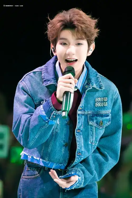 王源2025昭愿岁安