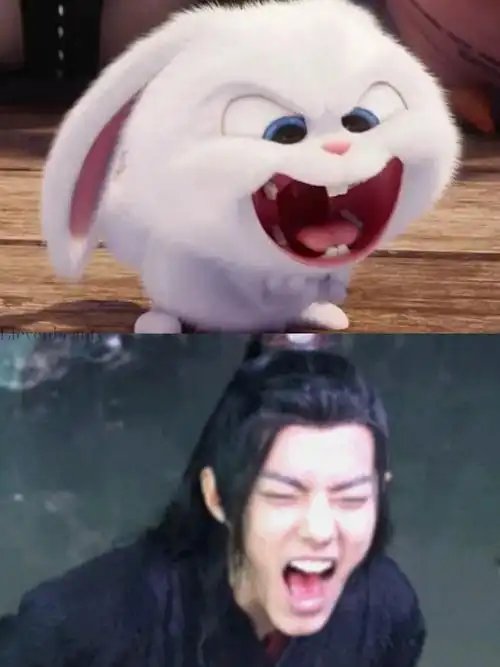 肖战兔兔表情包