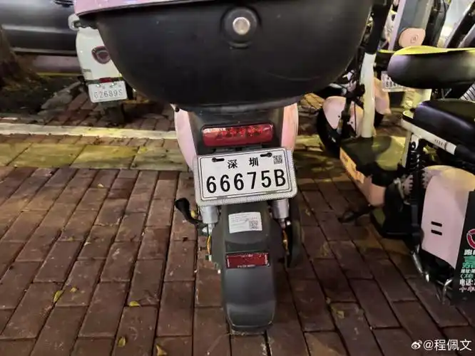 电动车牌的颜值比绿牌颜值高的不知道哪里去了