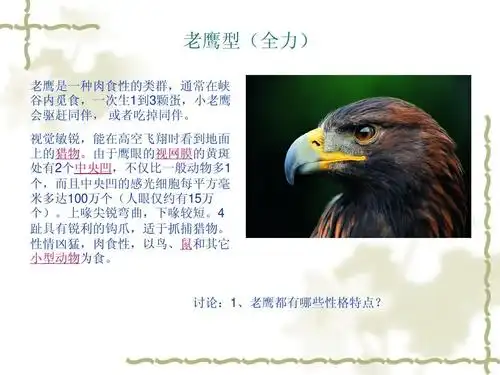 讨论:1,老鹰都有哪些性格特点?