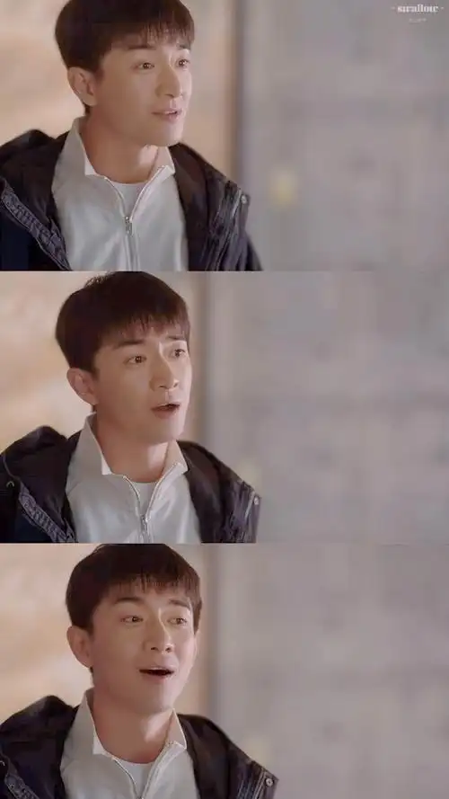 禁止狗入内但林更新进去了