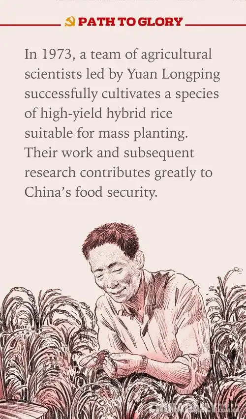 1973年,我国籼型杂交水稻科研协作组的袁隆平等人,在世界上首次培育