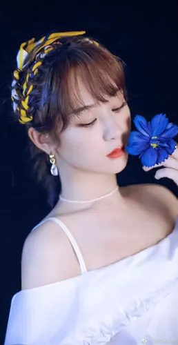 【杨紫】【美图】花的颜色