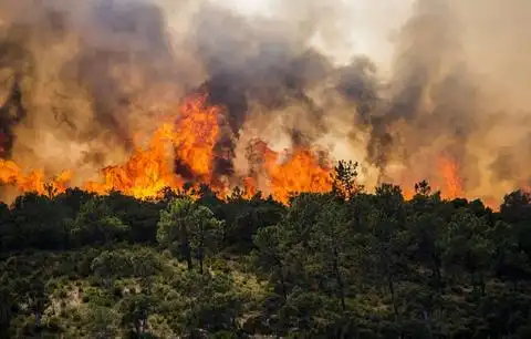 两少年引燃法国森林大火场景如月球景观