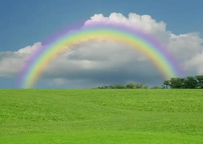 蓝天中的彩虹,在林间空地蓝色天空中的彩虹