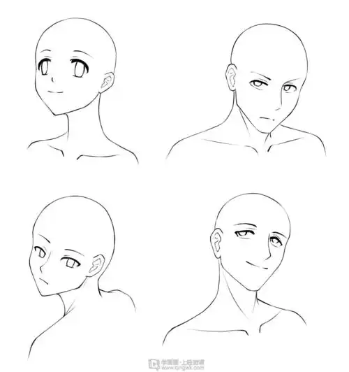 作业:动漫人物头部仰视,俯视的画法训练 - rh-11-072一只任豚