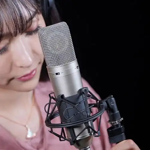 nt2s专业大振膜多指向人声录音配音直播合唱话筒