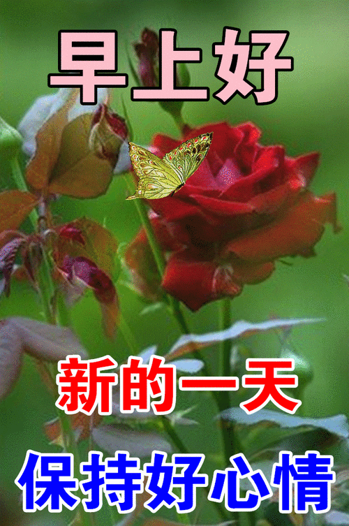 03周三愉快03早安心语03