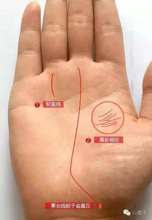 孩子叛逆,母亲的手相上早有显示