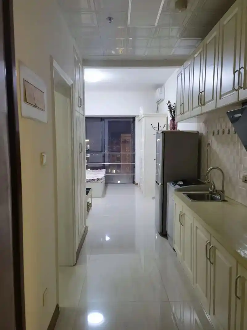 凯旋银河线.凯旋银河线精装公寓 面积:50平米 包含:包暖, - 抖音