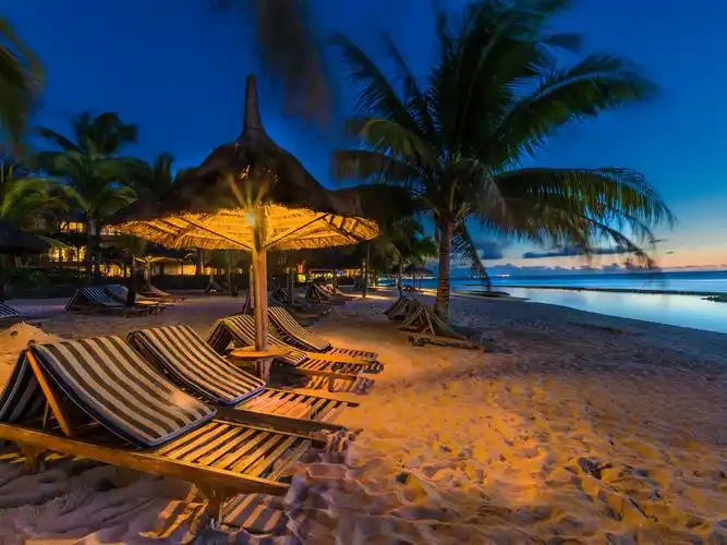 夜晚,海滩,大海,棕榈树,日光浴床,灯光 壁纸