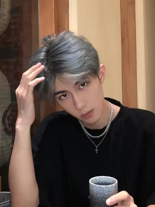 网红同款假发奶奶灰中分刘海韩版时尚帅气学生日常整顶假发