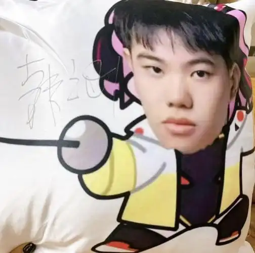 王者荣耀韩涵刘伟头像