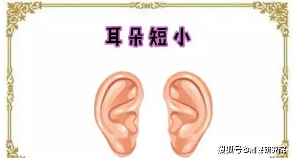耳朵短小耳朵在相学中,代表的是一个人的福气与财运等,通常的情况下