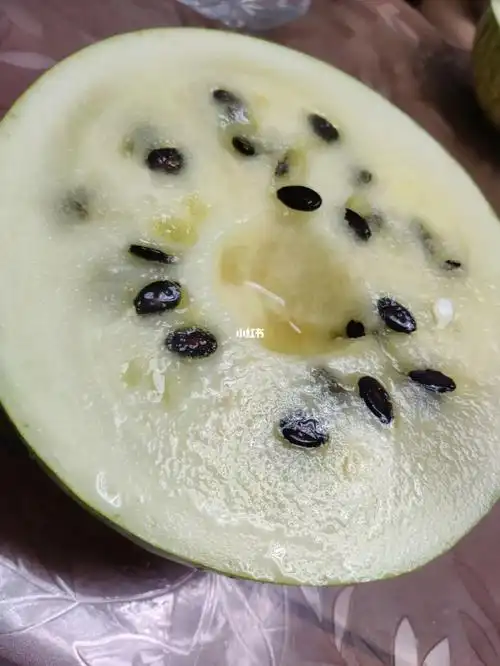 白色西瓜有人吃过吗