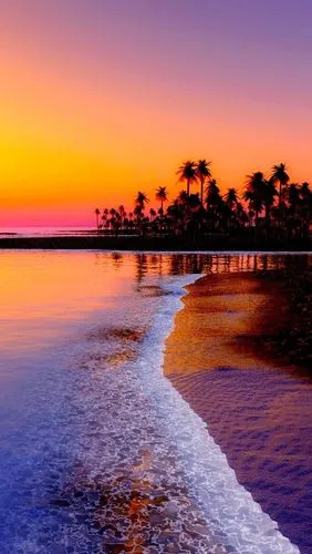 美丽的夕阳,大海,波浪,海滩,棕榈树,太阳