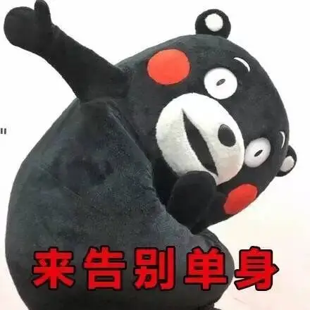 来告别单身 - 斗图大会 - 熊本熊,单身情歌,斗图啦表情库 - 真正的斗