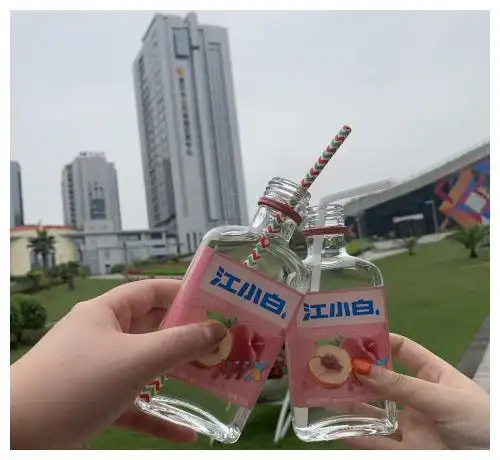 2020优雅网民图鉴:吸管喝江小白
