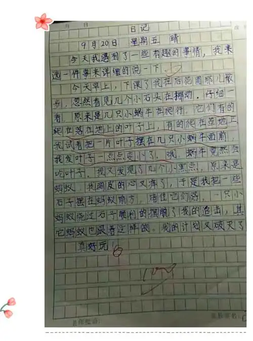 白银区第三小学三年级一班优秀作文展示(第一期)