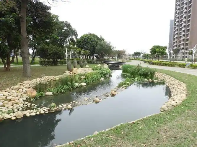 有许多水生植物的生态水池
