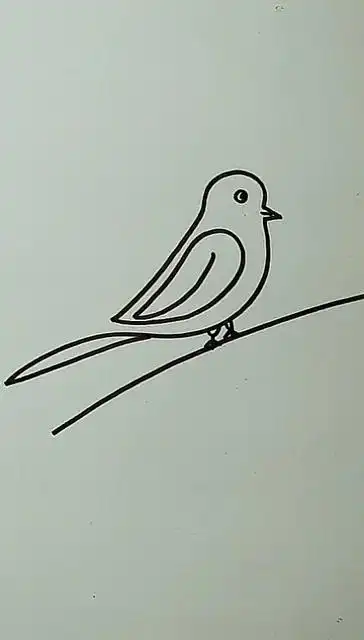 一笔画鸟,你学会了吗?