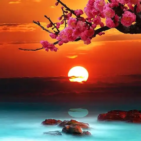 日出大海桃花香头像