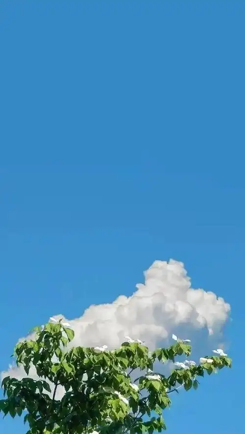 三观很正的优质句子,干净走心,适合发朋友圈