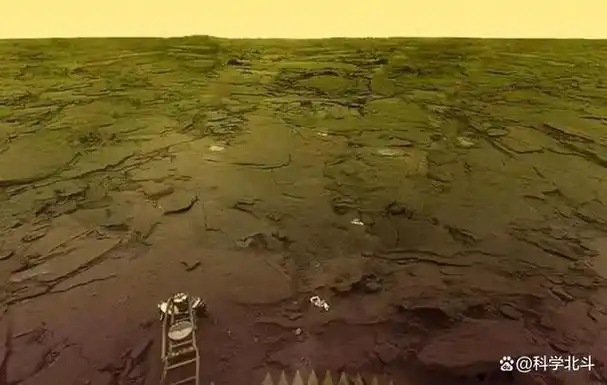 2008年nasa拍摄的火星照片其地表竟长出了树难道火星存在生命