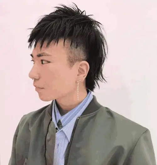 吴亦凡的发型是什么鱼头(鲻鱼头发型吴亦凡好看)(18)