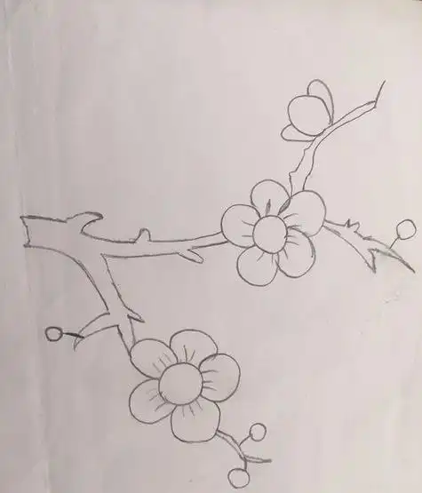 画一支梅花怎么画铅笔画简笔画梅花黑白梅花简笔画图片梅花植物简笔画